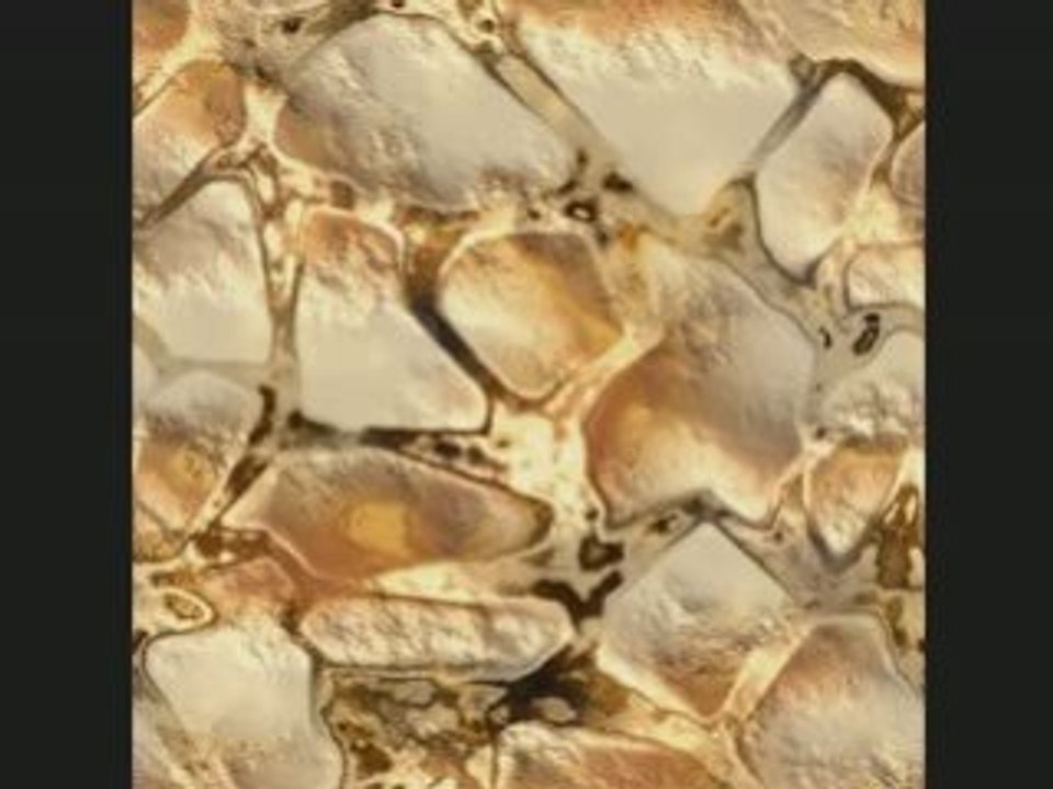 AbouRayan Gold rush