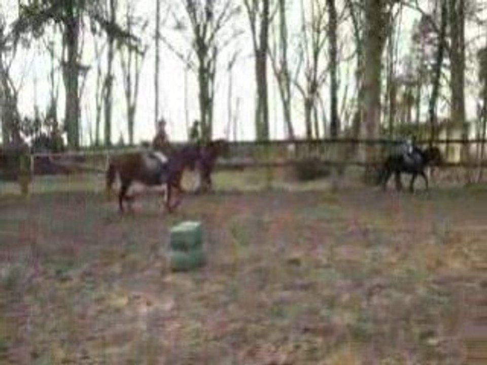 Ma Ponette Et Moi Le Samedi 21 Fevrier 09 En Saut