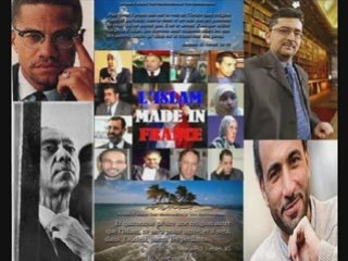 AbouRayan Muslims révolutionnaires ou collabos