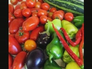 Faites-vous confiance au Bio ?