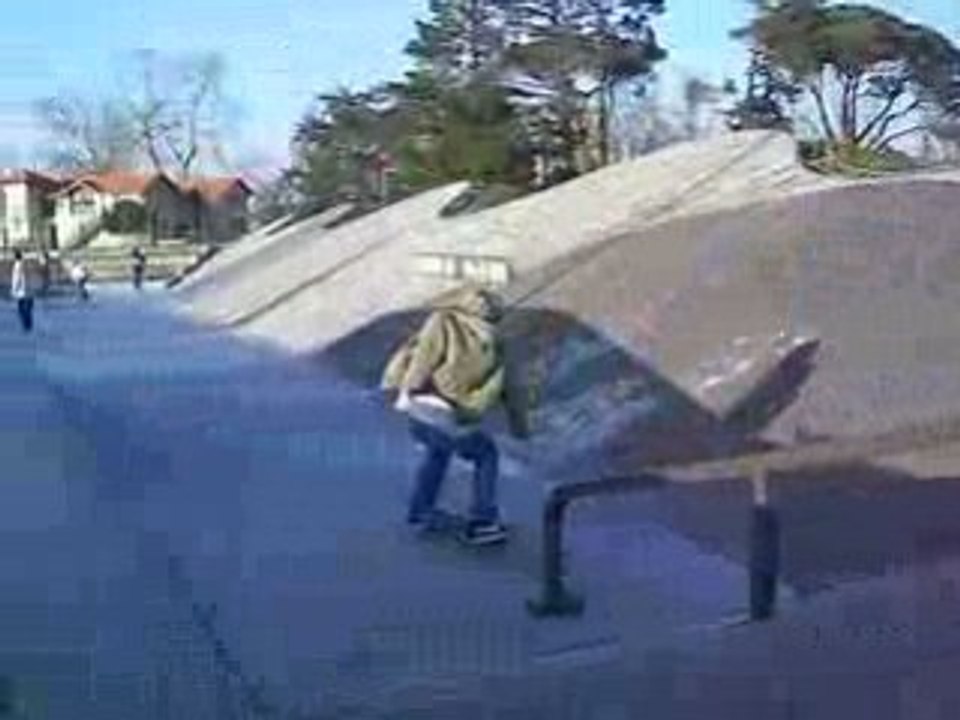 Romain boardslide handrail