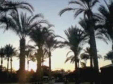 Vakantie Egypte November 2008