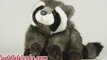 HD Stuffed Animal Raccoon at CuddleWorks.com