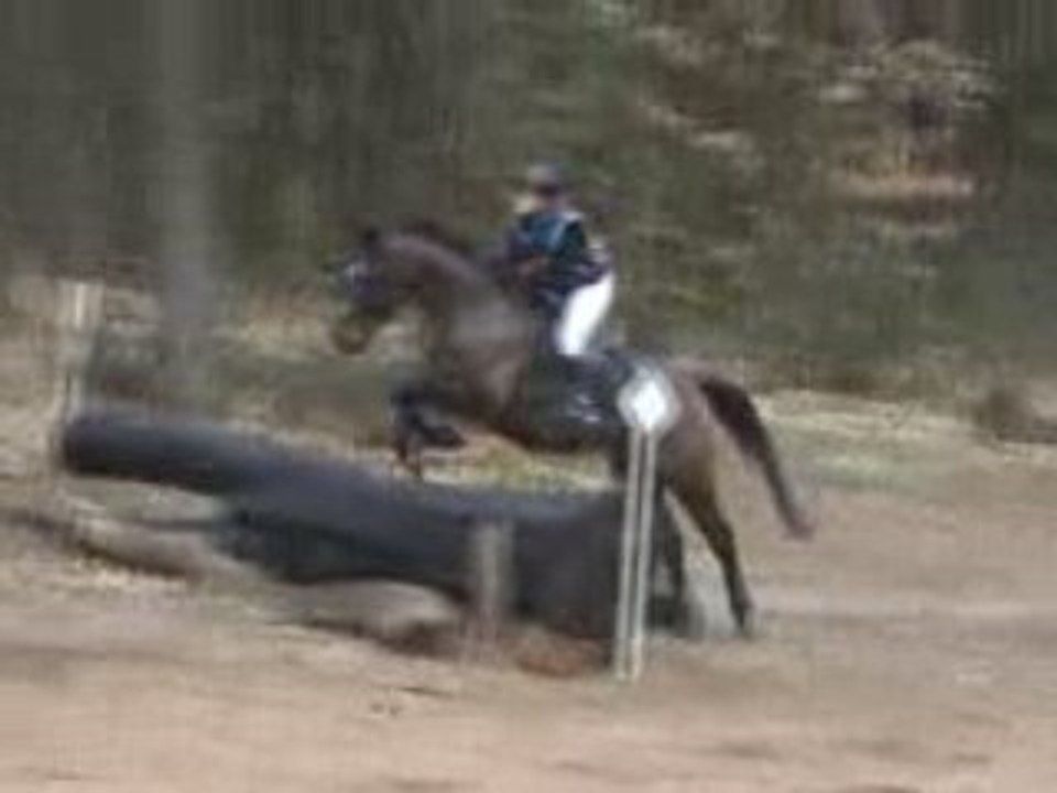 CCE St Mars d'Outillé du 22-02-2009 Le Cross