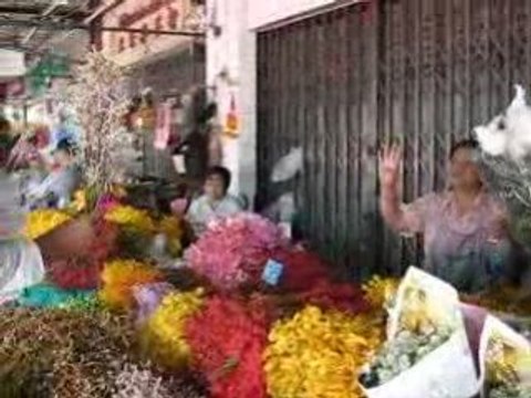 Marcus au marche aux fleurs- fevrier 2009