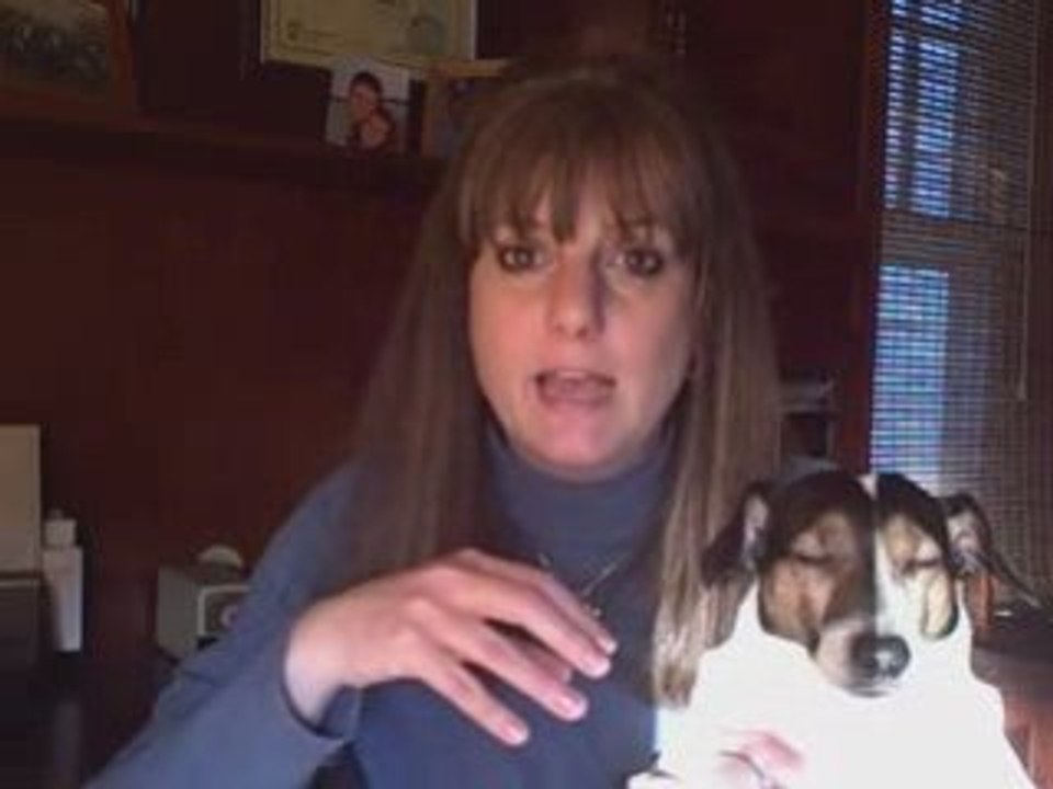 Choose your (Global Resorts) Team Wisely: Start Smart