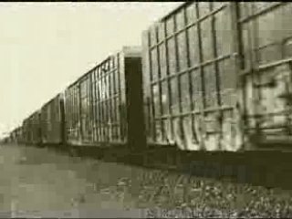 Mysterious Creatures