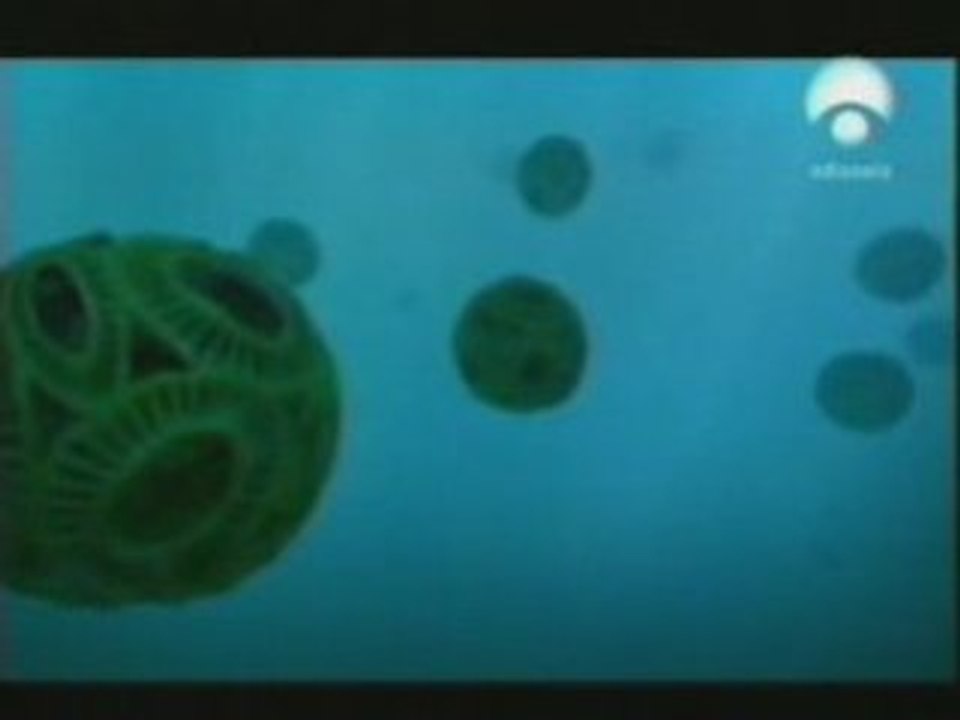 Virus beneficiosos