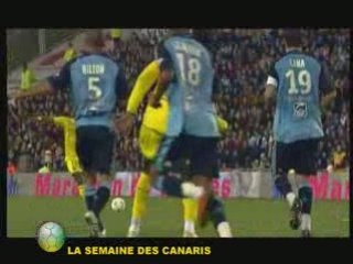 SEMAINE DES CANARIS DU 21 FEVRIER 2009