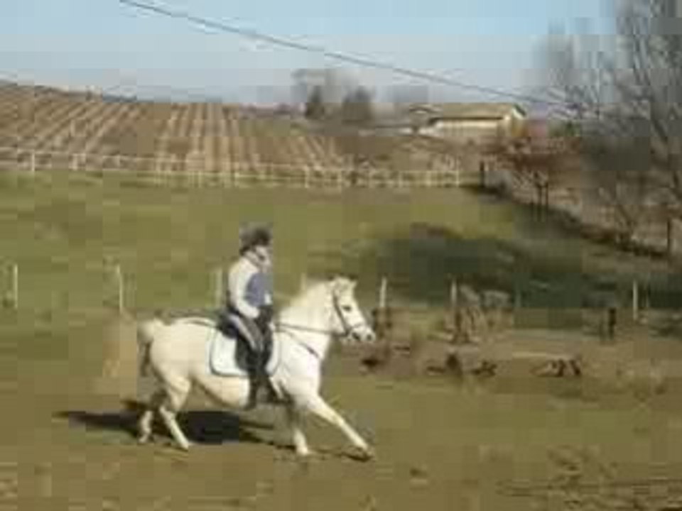 julienne au Cso