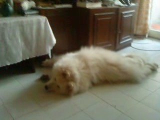 Hurs & Aleks Playing a Fun Game 🎮