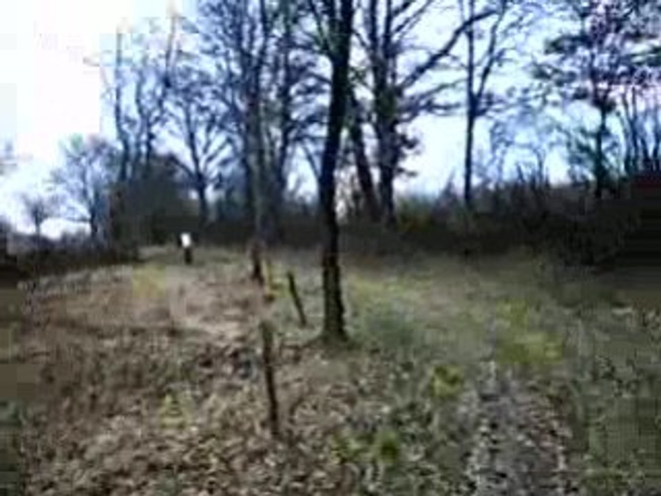 Rando 22/02/2009 4