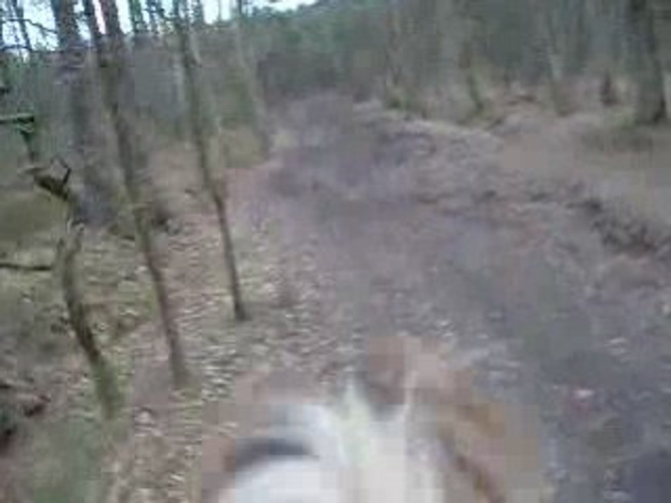 Pilou galop moncé