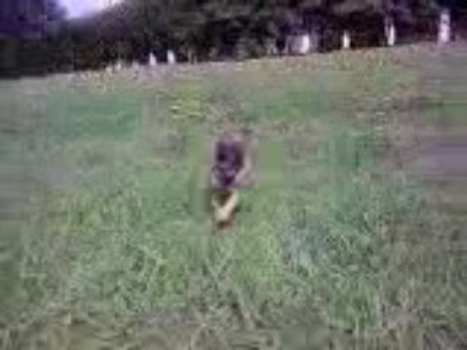 Cheitane lors de ses premier jours a la maison