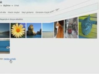 Windows Live Skydrive