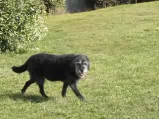 Lallie, Les Minimes, 23 février 2009