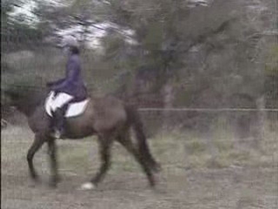 Echaufement4_SDV