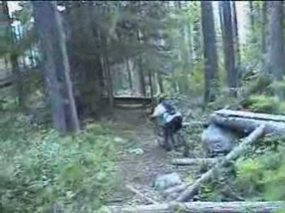 Mountain Biking - Downhill And NorthShore - Freeride