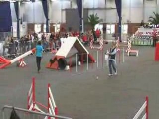 Vodka-agility Inter-régionale de Lisieux