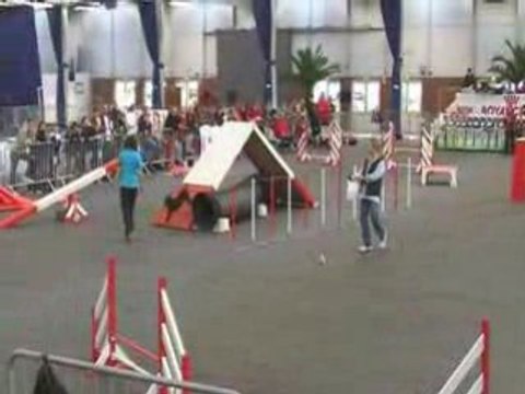 Vodka-agility Inter-régionale de Lisieux