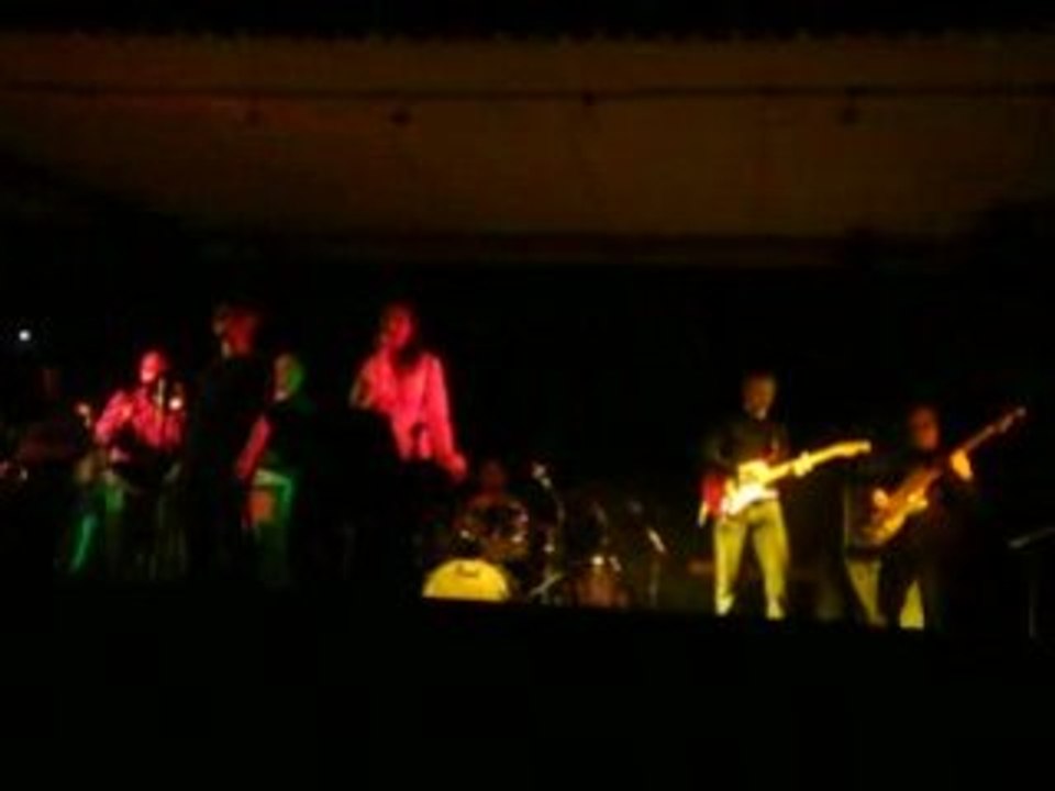 Soulfingerband en concert