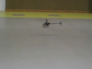 Sacha premier vol belt CP