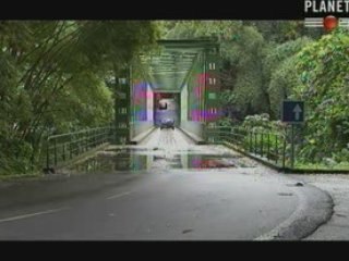 Les 16 de Basse-Pointe -martinique-3/6