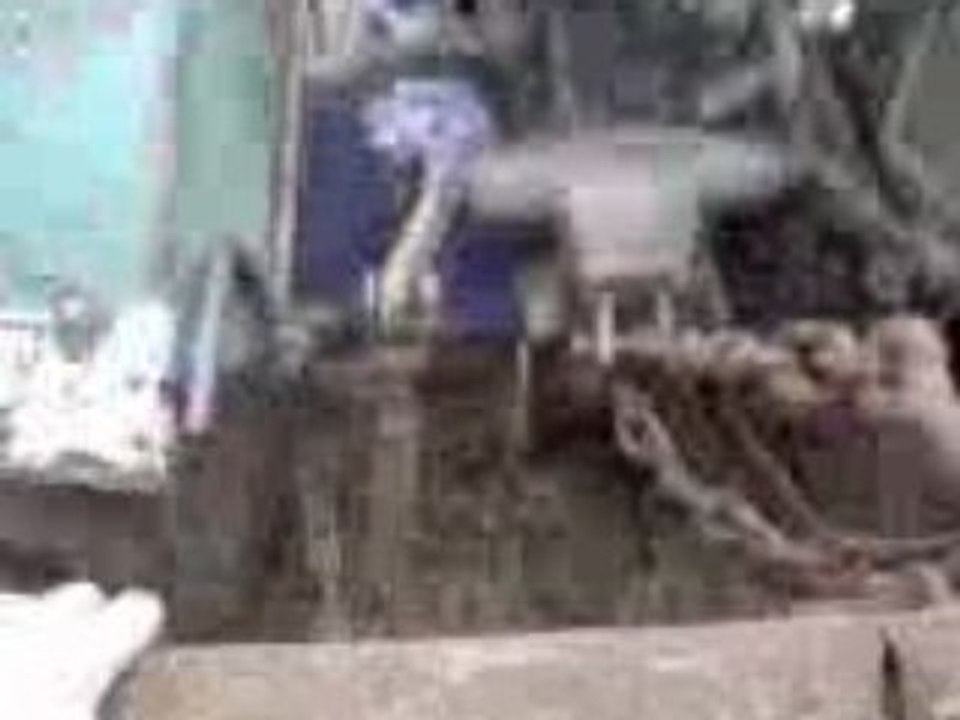 tractor 7