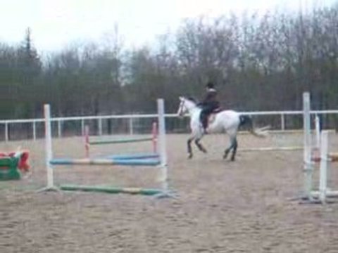 Stage Hunter 22-02-2009 avec Nemo2 (4) - Deuxième parcours