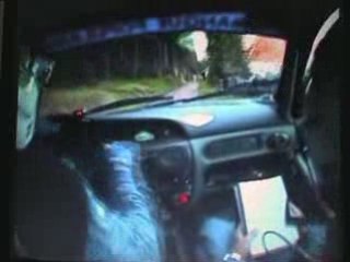 Alsace 1998: A Historic Year