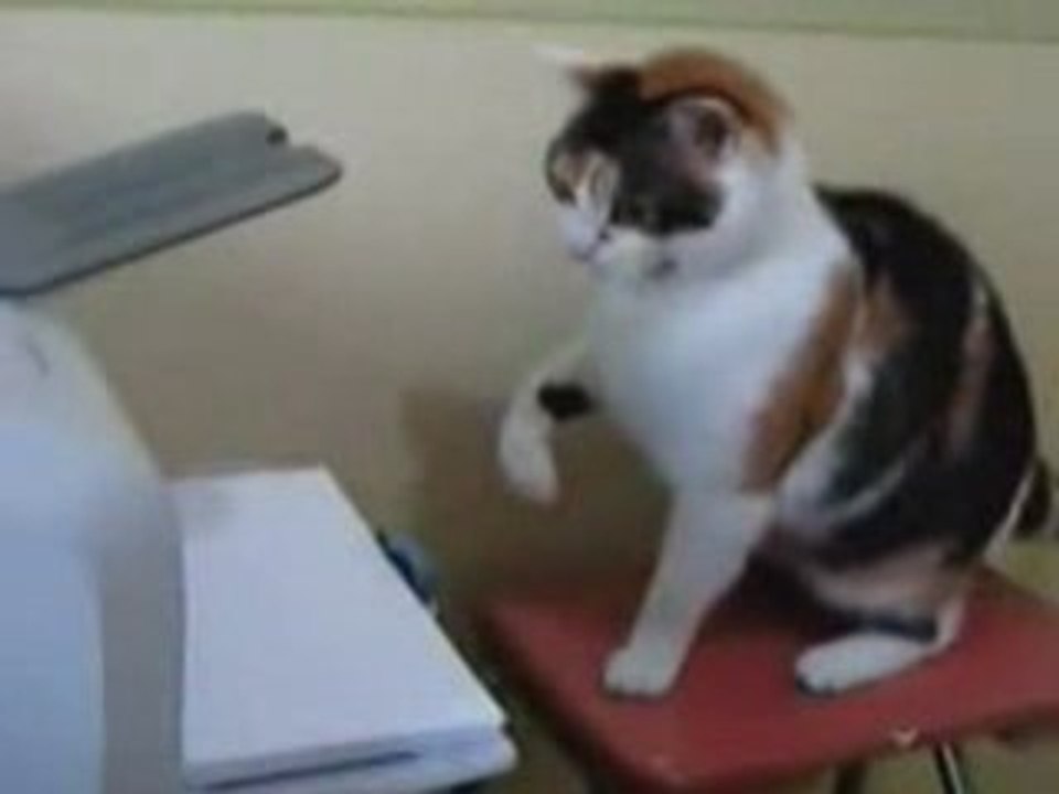 Falcon Punch v.s Printer
