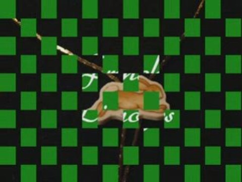 Irish China Belleek Jewelry: