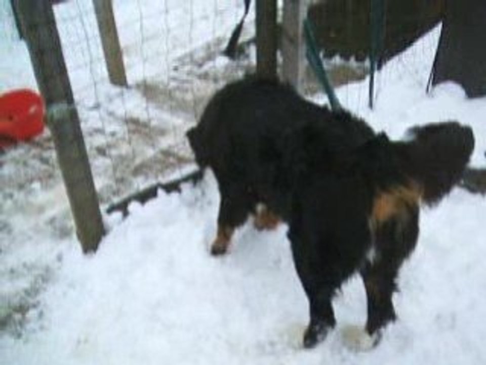 neige de février2