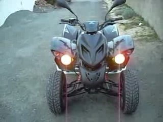 quad adly 300