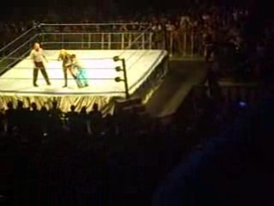 Michelle McCool vs Nikki Bella parte 2
