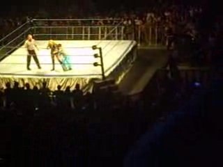 Michelle McCool vs Nikki Bella parte 2