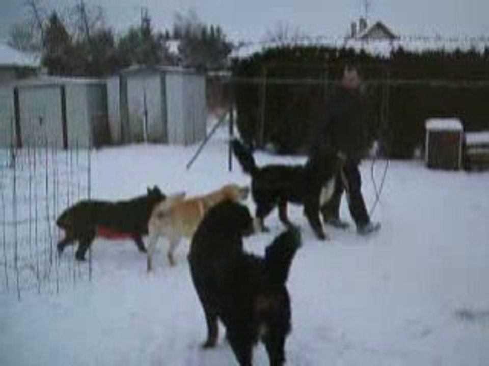 neige de février6