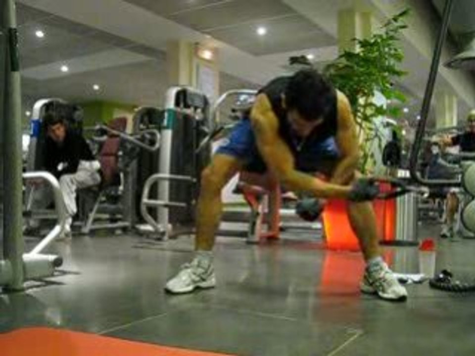 oiseaux un bras poulie