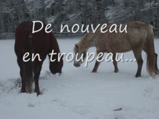 Hercule (Janvier 2009)