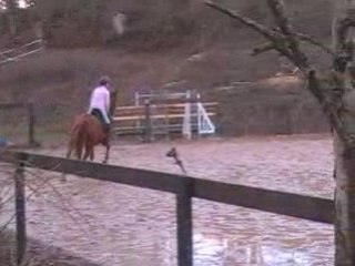 Cso 4 7 oxer+rodeo