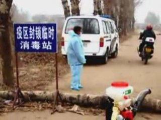 CCP Covers Up Foot and Mouth Disease