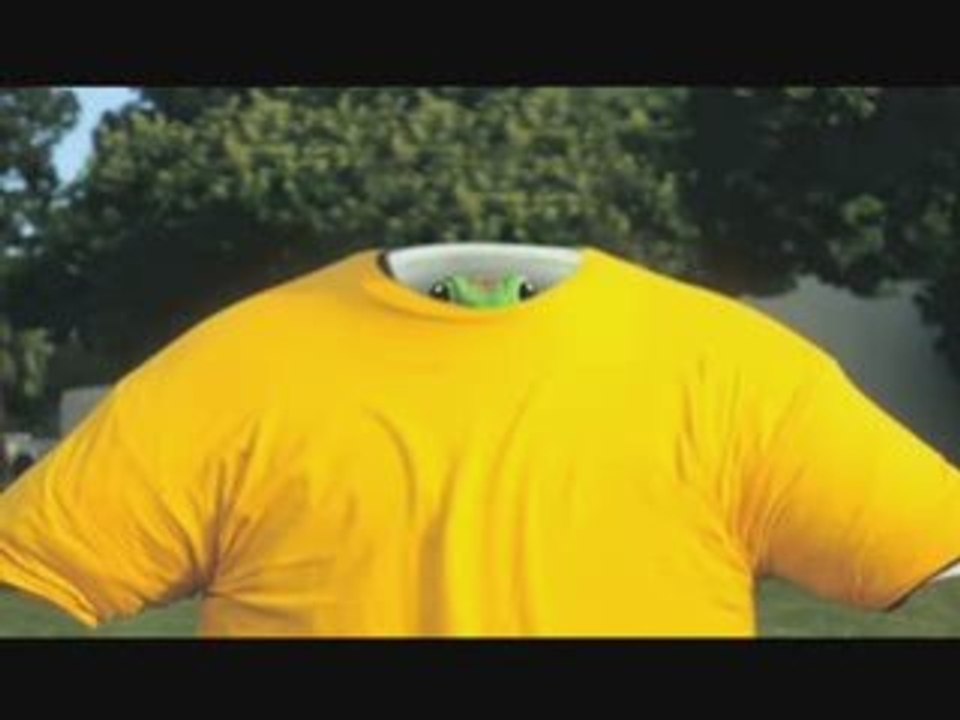 Guinness World Record for most T-shirts on a Gecko