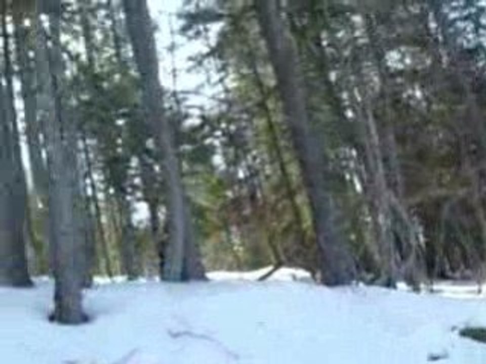 Ski