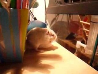 Le mouchoir de Yuki 2 (le retour)