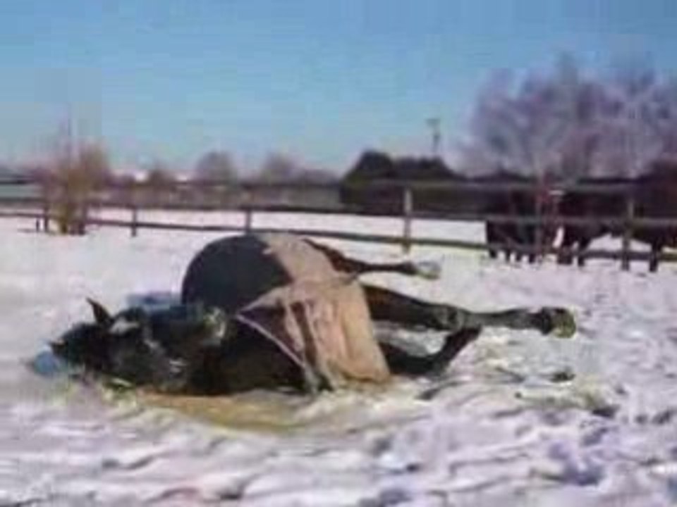 Run to me roulade ds la neige