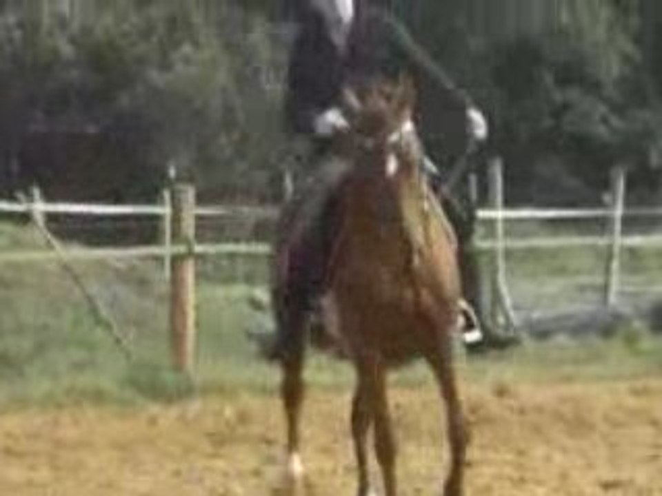 Cheval