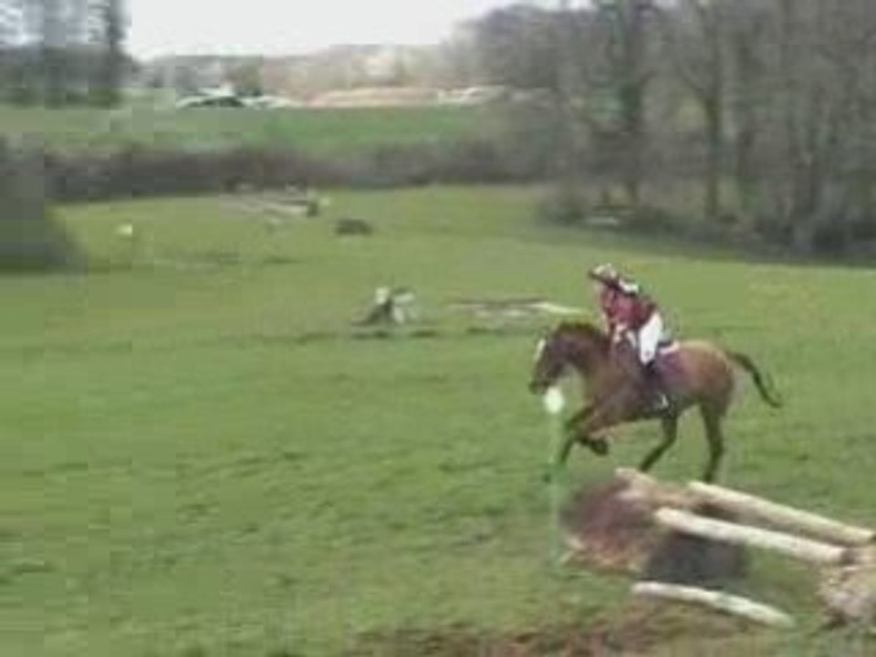 Cross besac