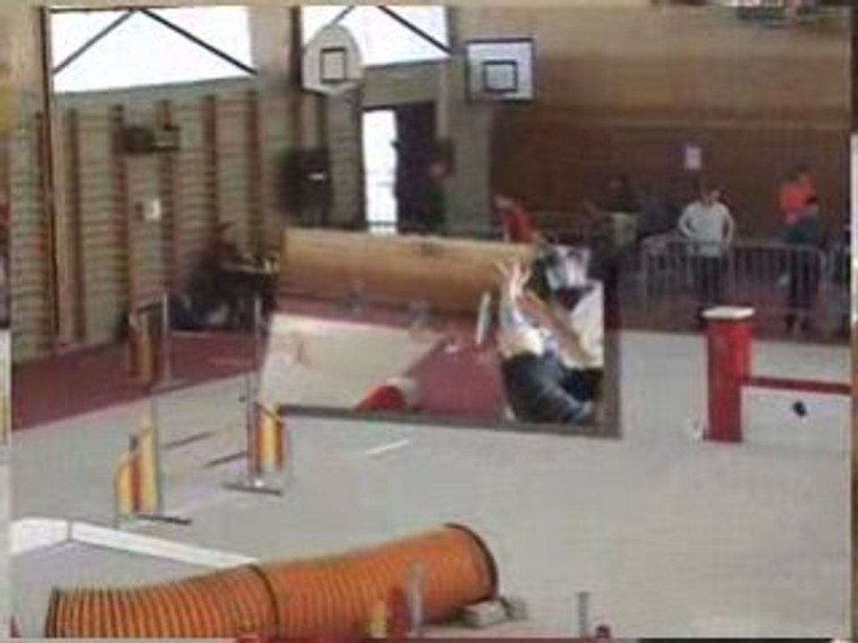 Agility (Open et Degrés Audun-Le-Roman 2ème partie)