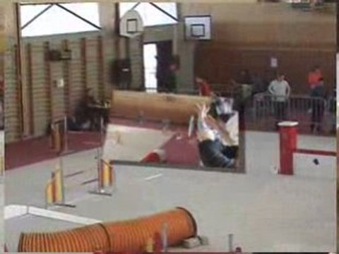 Agility (Open et Degrés Audun-Le-Roman 2ème partie)