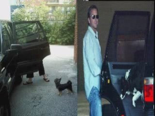 Kiefer Sutherland Twins